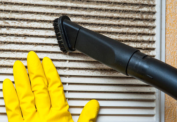 Best Home Air Vent Cleaning  in Estes Park, CO